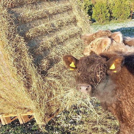 Ferienwohnung Auf Dem Land Dittersbach Luaran gambar