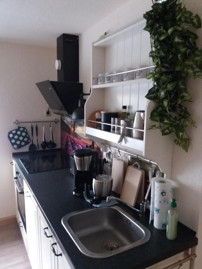 Ferienwohnung Auf Dem Land Dittersbach Luaran gambar
